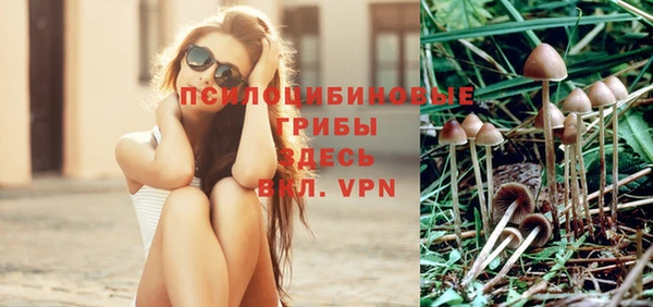гидра Алексеевка