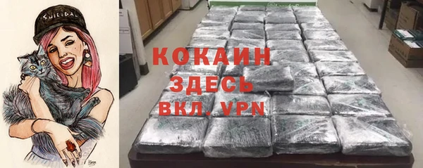 гидра Алексеевка
